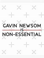 Image result for Gavin Newsom Biography