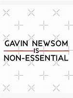Image result for Gavin Newsom House Decor