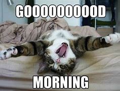 Image result for Early Morning Memes Funny