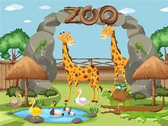 Image result for Zoo Illustration