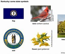 Image result for Ideas for More State Symbols