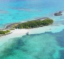 Image result for Andros Island Boa