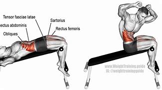 Image result for Sit Up Muscles Worked