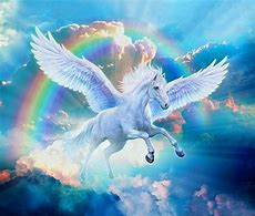 Image result for Unicorn Pegasus Rainbow Hair