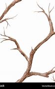 Image result for Tree Branch Pattern