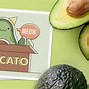 Image result for Guacamole Funny