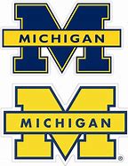 Image result for Michigan Social Services Car Decal