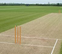 Image result for Cricket Pitch Field