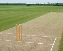 Image result for Cricket Pitch Roof