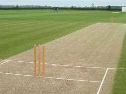 Image result for Cricket Pitch in Eastbrook