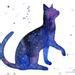 Image result for Funny Galaxy Cat