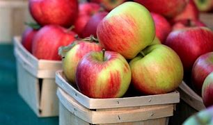 Image result for Different Apple Types