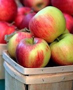 Image result for Most Popular Apple Varieties