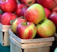 Image result for Different Apple Types