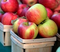Image result for love apples variety