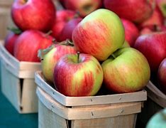 Image result for All Kinds of Apple's