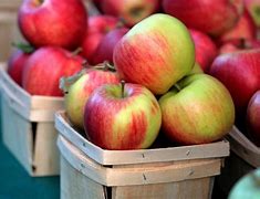 Image result for Different Apple Varieties