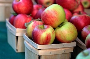 Image result for Pic of Green Apple Varieties