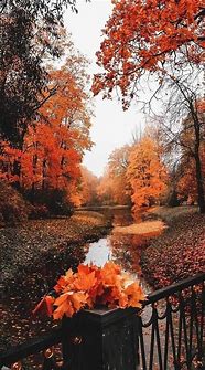 Image result for Fall Wallpaper iPhone 11