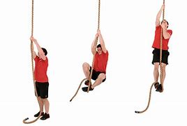 Image result for climb ropes