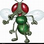 Image result for Funny House Fly