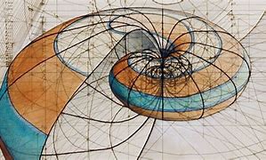 Image result for Golden Ratio Shell Drawing Map Artist
