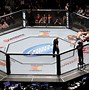 Image result for Logos On Pad MMA Octagon