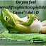 Image result for Happy Birthday Humor Quotes Frog