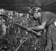 Image result for The Coal Miner Who Came West