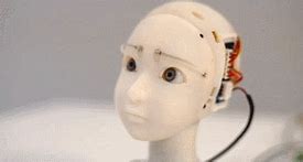 Image result for Humanoid Robot Head