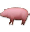 Image result for Pig Emoji PNG