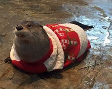 Image result for Funny Ugly Christmas Sweater Memes