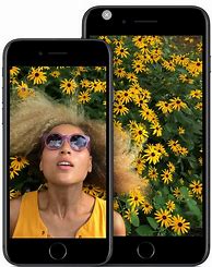 Image result for iPhone 11 Screen Size vs iPhone 7 Plus