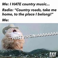 Image result for Country Roads Dolphin Meme