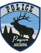 Image result for Payson Police Badge AZ