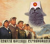Image result for Mao Zedong Cat