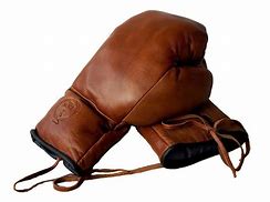 Image result for Classic Boxing Gloves