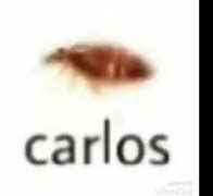 Image result for Hi My Name Is Carlos Meme