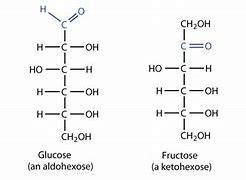 Image result for aldoh3xosa