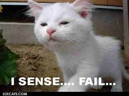 Image result for Lolcats Fail