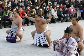 Image result for Sumo in Japan Fighting Images
