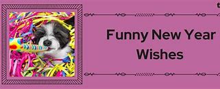 Image result for Humorous New Year's Cards