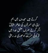 Image result for Urdu Poetry About Life