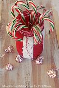 Image result for Candy Cane Flowers