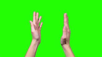 Image result for Hand Greenscreen Meme