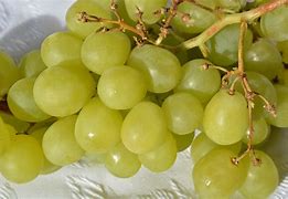 Image result for Green Stuff On Grapes