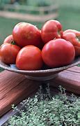 Image result for love apples tomatoes