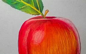 Image result for Apple Color Pencil Drawing