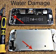 Image result for iPhone 6 Water Damage