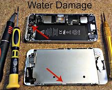 Image result for iPhone Water Damage Indicator